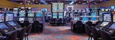505 bet app