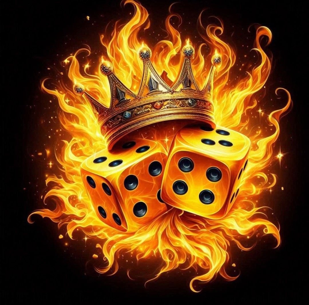 505 bet app